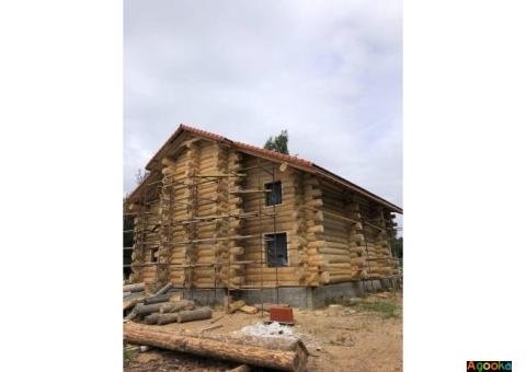 Шлифовка, покраска, герметизация срубов по всей Беларуси